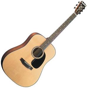 Blueridge BR-40 Dreadnought Acoustic Guitar w/Hardshell Case 688382000711