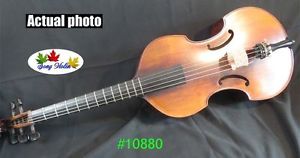 Baroque style SONG Maestro instate Frets 5 string 27