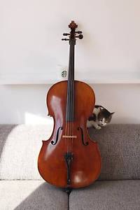 Violoncelle Jay Haide Artistique à l'ancienne - avec étui