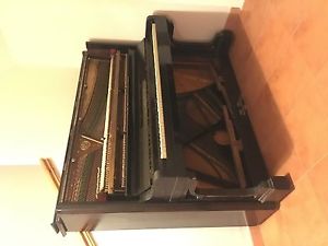 1904 Upright piano C.BECHSTEIN