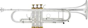 Arnolds & Sons TR-5200GS, Terra, B-Trompete inkl. Koffer und Mundstück