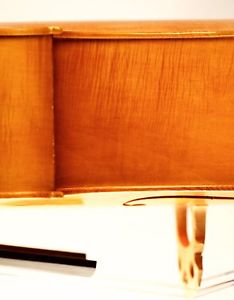 altes 4/4 CELLO Geige Violin Zettel: A.POGGI 1950 violoncello チェロ 大提琴 كمان