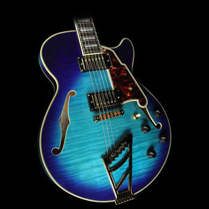 DAngelico Exss Electric Guitar B