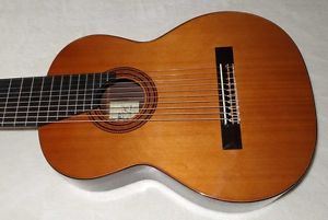 MILAGRO MRC10 Concert 10string C
