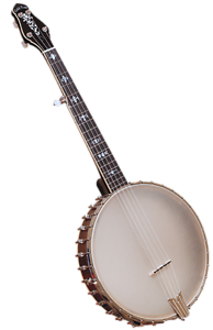 Gold Tone CEB-5 Cello banjo and case