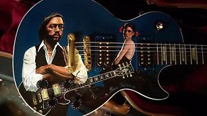 Gibson Les Paul Dimarzio Al Dimeola