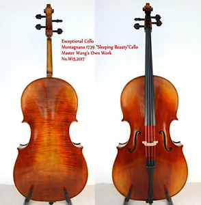 Exceptional Cello!Montagnana1739 Sleeping Beauty Cello!Master's Own Work No.W15