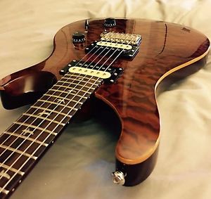 PRS SE Custom 24 30th Anniversary (2015) Chesnut w/ PRS Gig Bag