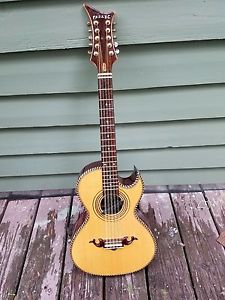 PASAYE Bajo Quinto, made in 2007, with pickup and TKL hardcase