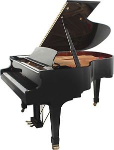 Palatino Flügel GP59, 178cm, aus deutschem Privathaushalt