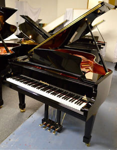 Wendl & Lung 178 Professional 2 with Pedal Harmonique