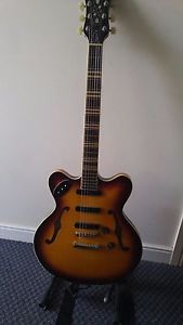 HOFNER VERITHIN-CT