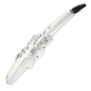 Roland Digital Wind Synthesizer AE-10 Aerophone Instrument EMS F/S from JAPAN