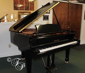 New Hamburg & Bach Baby Grand Piano - 30% Off Sale - Free Shipping