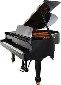 W. Hoffmann by Bechstein Europe, Flügel T 177 Tradition, aus 24 monatiger Miete