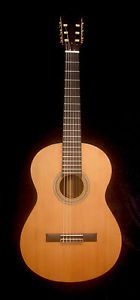 Bruce Wei Solid Indian Rosewood Classical Guitar, Soft-Bag CG-018