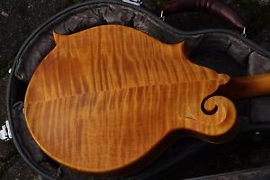 NEU Weber Bitterroot F-Style Bluegrass Mandoline fast neck USA