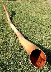 Hardwood Didgeridoo - Key of C# - "Champion"