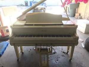 ANTIQUE HAINES BROS Grand Piano Circa 1930's - Fully Restored w/ Ampico Player