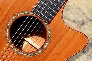 R. Taylor Style 1 guitar - Redwood Top - Bloodwood - Mahogany - Excellent!!