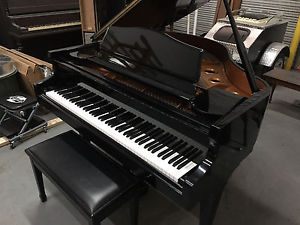 Samick Baby Grand Piano SIG-50 5'3"