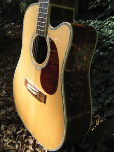 Zager Easy Play ZAD80CE Acoustic Electric Guitar...rated in the top 2%!