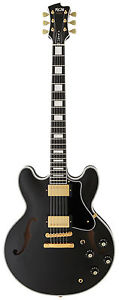 FGN Masterfield Classic Black - Halbresonanz E-Gitarre inkl. Koffer