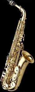 Yanagisawa A-WO10 Alto Saxophone lacquer finish yellow brass AWO10 with case