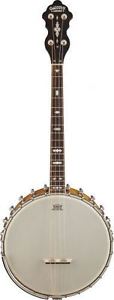 Gretsch G9480 "Laydie Belle" 17 Fret Irish Tenor Banjo Whyte-Laydie Tone-Ring