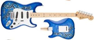Fender Special Edition David Loz