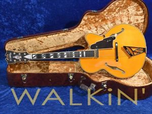D'Angelico NYL-2 Electric Guitar Free Shipping