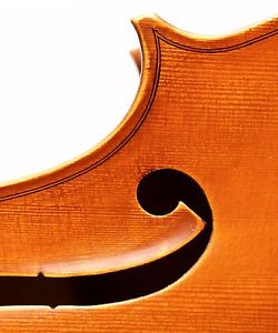 altes 4/4 CELLO Geige Violin Zettel: G.PEDRAZZINI 1926 violoncello チェロ 大提琴 كمان