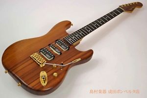SCHECTER PW-RC-ST R009 Used Guitar Free Shipping from Japan #g1924