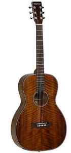 Tanglewood Sundance Delta TW40 PD - Aussteller