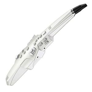 Roland Aerophone AE-10 Wind Synthesizer NEW Free Shipping