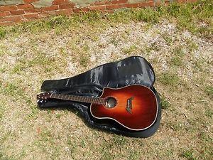 Breedlove Pro Series USA D25/SR Herringbone Acoustic Electric Guitar w Bag #4000