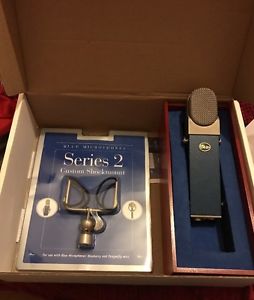 Blueberry Microphone