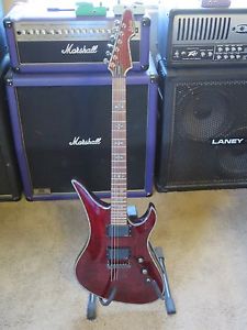 Schecter Avenger Hellraiser Diamond Series EMG Set Neck Hard Case FREE SHIPPING!