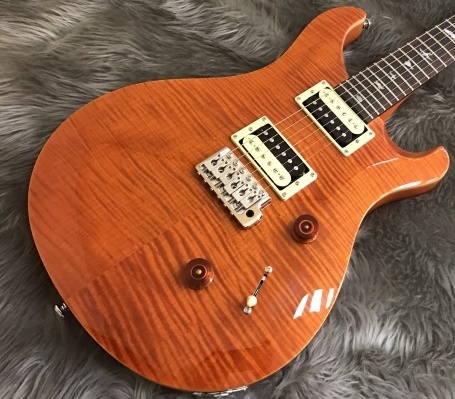 Paul Reed SmithSE Custom 24 Japan Limited  FREESHIPPING from JAPAN