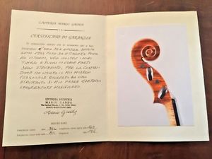 Violin Mario Gadda, MANTOVA 1993, Gaetano Gadda model, CERTIFICATE, italian old