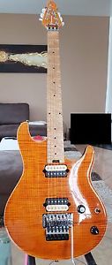 Peavey HP Special CT USA*TopGitarre*wieEVH*mit Koffer*1aZustand