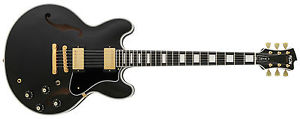 FGN MASTERFIELD SEMIAKUSTIK-GITARRE, CLASSIC BLACK, GOLD HARDWARE