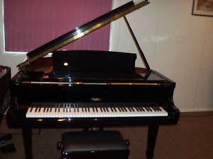 CHALLEN - Pianodisc -  self playing baby grand piano