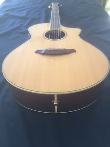 Breedlove AC25/SM Acoustic Electric Guitar - Near Mint Condition