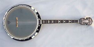 Gold Tone IT-250F 4 string Tenor Banjo with Resonator back + gig bag