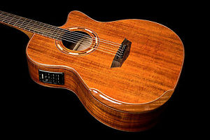 Washburn WCG55CE Koa Acoustic Electric Zager EZ-Play Modified Guitar