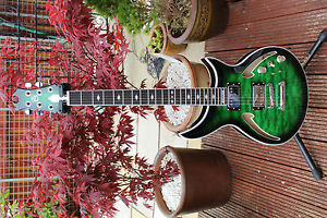 NEW Gordon Guitars SSA24CD Electric Guitar Luthier Made in UK