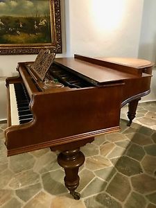 SELTENER AUSSERGEWÖHNLICHER BAUMBACH Stutzflügel Grand Piano Flügel Salonflügel