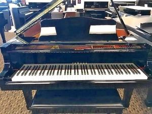 Yamaha Grand Piano Ebony Los Angeles 4219267
