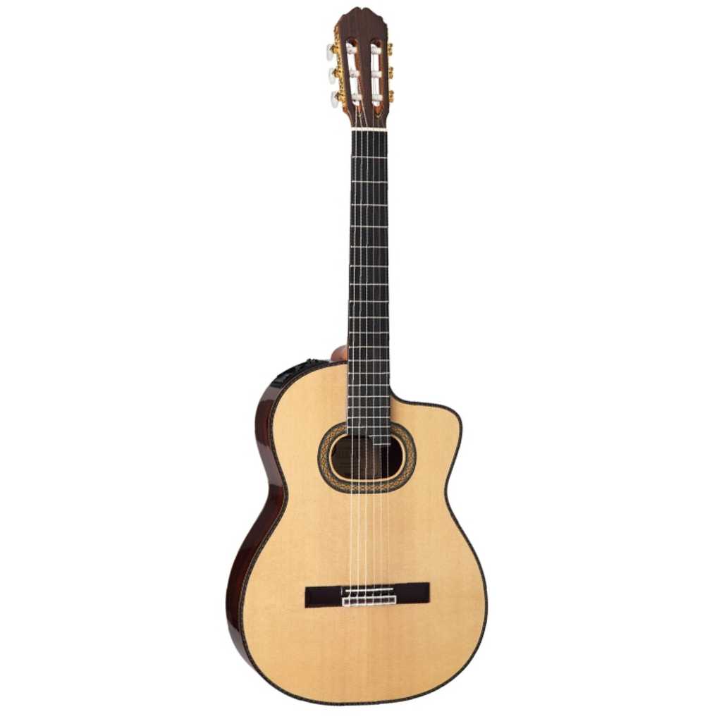 Takamine TH90 Hirade Concert Chitarra Classica